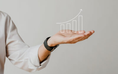 Gestione societaria contabile e fiscale delle aziende e delle partite iva in genere